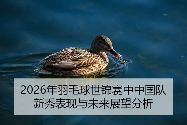 nian-yu-mao-qiu-shi-jin-sai-zhong-zhong-guo-dui-xin-xiu-biao-xian-yu-wei-lai-zhan-wang-fen-xi-2-623.jpg