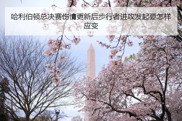 哈利伯顿总决赛伤情更新后步行者进攻发起要怎样应变