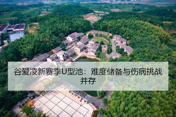 gu-ai-ling-xin-sai-ji-xing-chi-nan-du-chu-bei-yu-shang-bing-tiao-zhan-bing-cun-2-142.jpg
