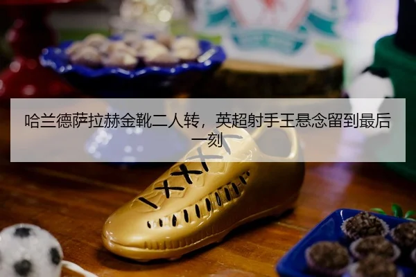 ha-lan-de-sa-la-he-jin-xue-er-ren-zhuan-ying-chao-she-shou-wang-xuan-nian-liu-dao-zui-hou-yi-ke-3-863.jpg